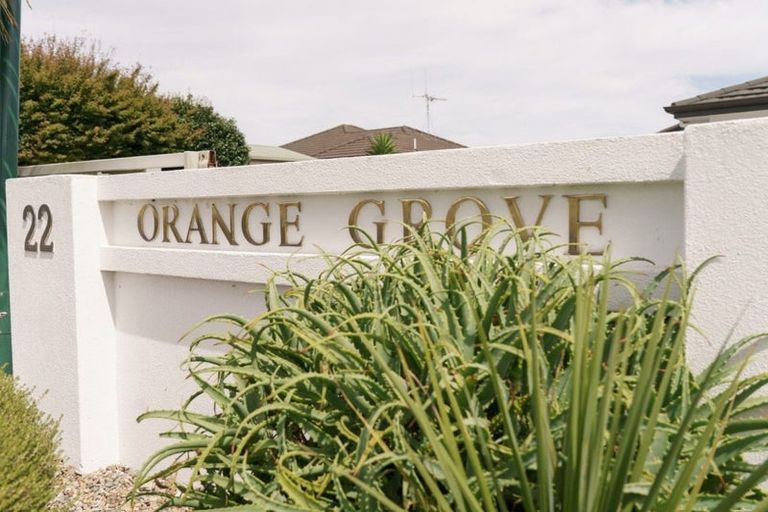 Photo of property in 22 Pyes Pa Road, Pyes Pa, Tauranga, 3112