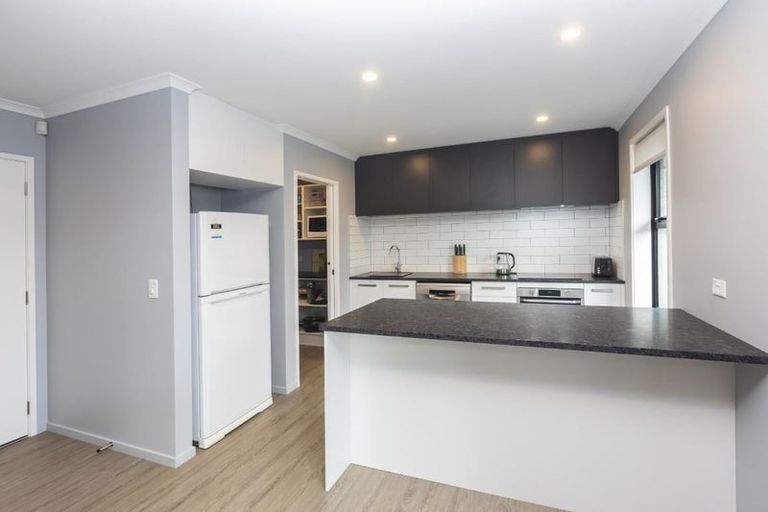 Photo of property in 119 Halswell Road, Hillmorton, Christchurch, 8025