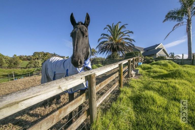 Photo of property in 53 Broadwood Rise, Kumeu, 0892