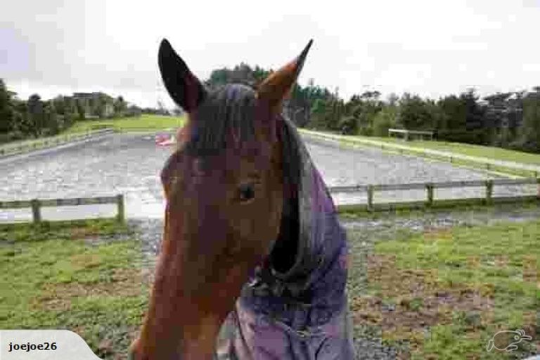 Photo of property in 373 Sunnyside Road, Coatesville, Albany, 0792