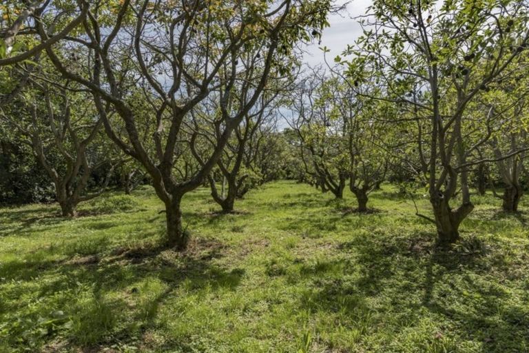 Photo of property in 118a Prole Road, Omokoroa, Tauranga, 3172