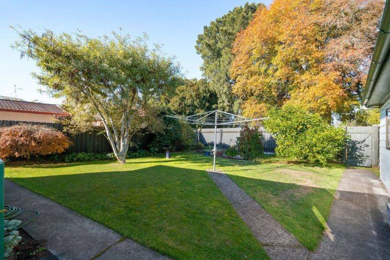 Photo of property in 17 Hibiscus Avenue, Hamilton Lake, Hamilton, 3204