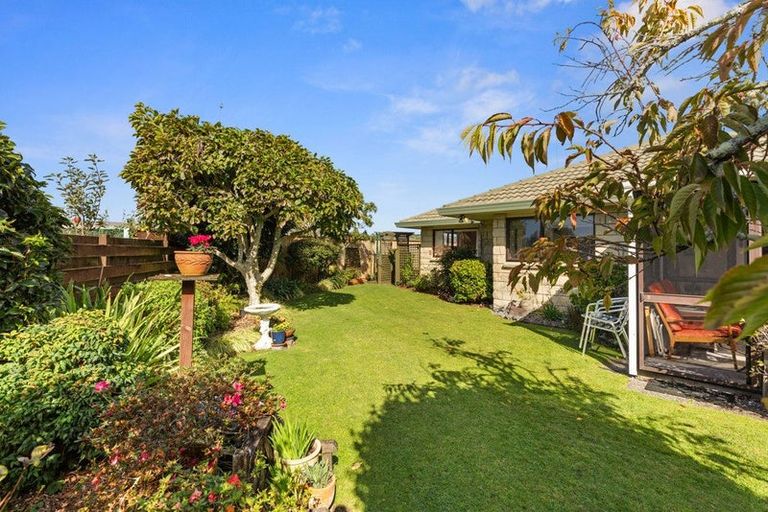 Photo of property in 26b Hibiscus Avenue, Mount Maunganui, 3116