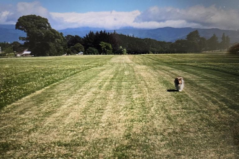 Photo of property in 11 Ahiaruhe Road, Ahiaruhe, Carterton, 5792