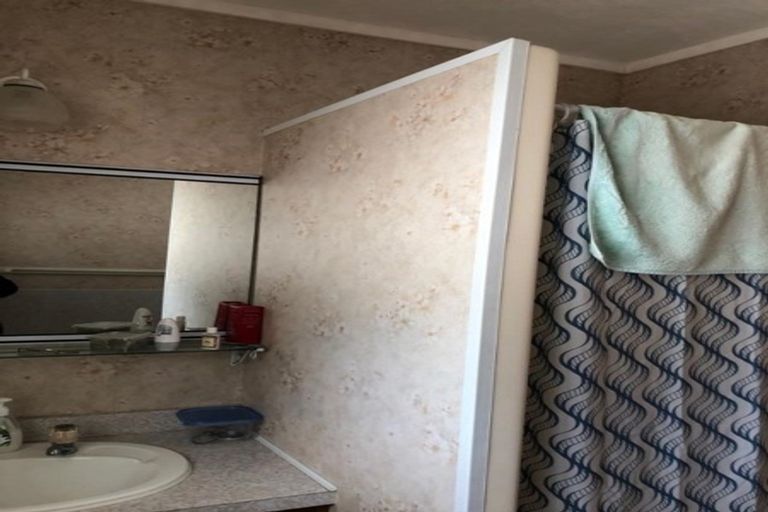 Photo of property in 572 Queen Street East, Levin, 5510