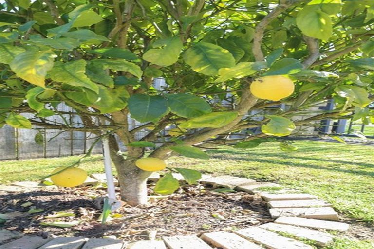 Photo of property in 4 Martin Street, Ngaruawahia, 3720