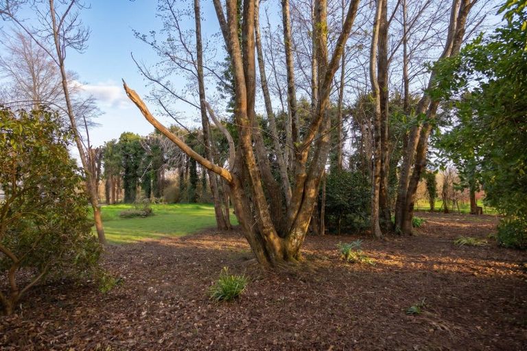 Photo of property in 15 Woodlands Way, Greytown, 5712
