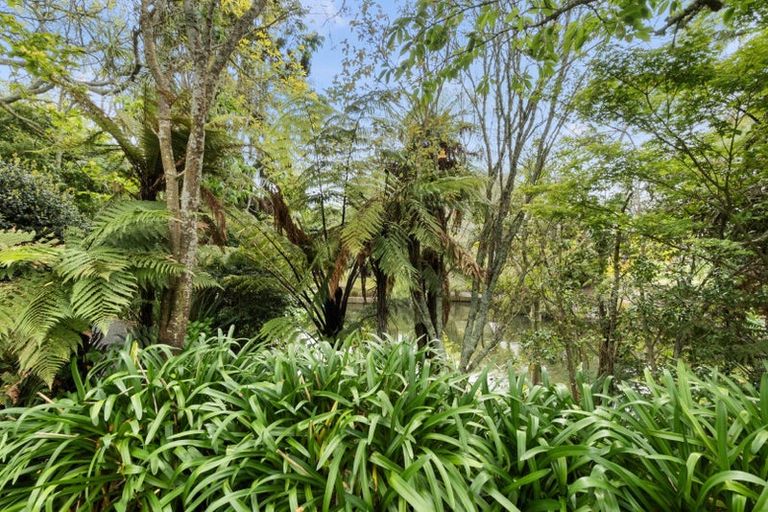 Photo of property in 19 Kingfisher Way, Te Kowhai, Hamilton, 3288