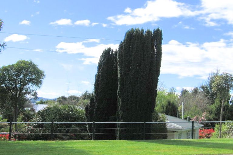 Photo of property in 96 Gillies Avenue, Taupo, 3330