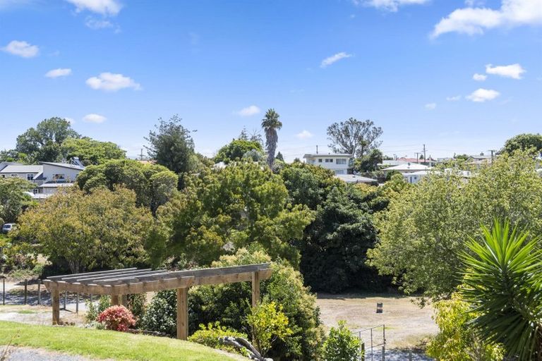Photo of property in 1203 Cameron Road, Gate Pa, Tauranga, 3112