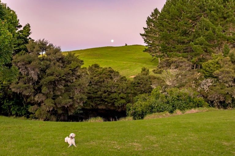 Photo of property in 78 River Drive, Kerikeri, 0294