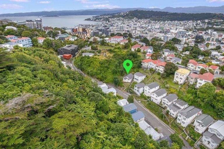 Photo of property in Trinity Newman, 56 Adams Terrace, Aro Valley, Wellington, 6021