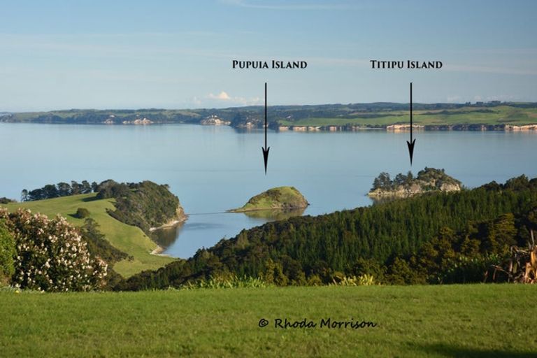 Photo of property in 986 Tinopai Road, Tinopai, Matakohe, 0593