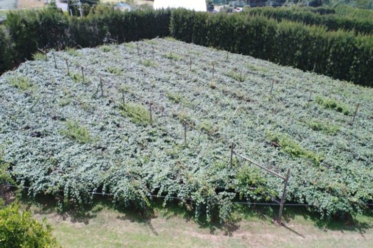 Photo of property in 78 Plummers Point Road, Whakamarama, Tauranga, 3172