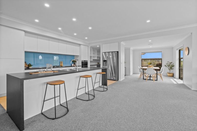 Photo of property in 61 Ludlow Drive, Huntingdon, Ashburton, 7774