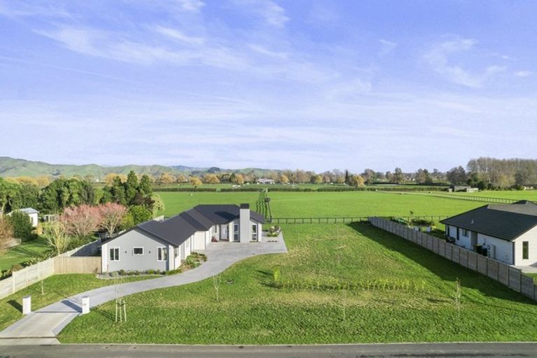 Photo of property in 30 Seachange Drive, Leamington, Cambridge, 3432