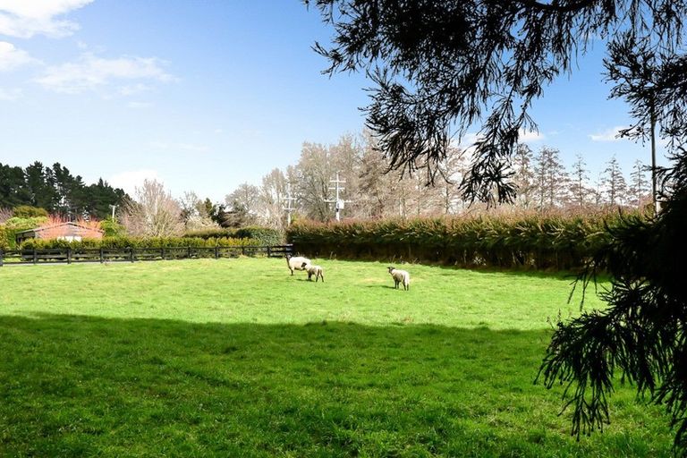 Photo of property in 40 Woodcock Road, Tamahere, Hamilton, 3283