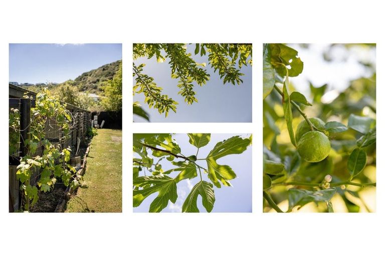 Photo of property in 266 Lakes Boulevard, Pyes Pa, Tauranga, 3112