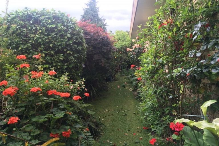 Photo of property in 3/776 Cameron Road, Tauranga South, Tauranga, 3112