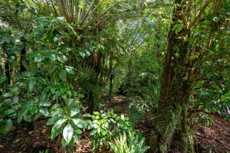 Photo of property in 118 South Road, Mamaku, Rotorua, 3072