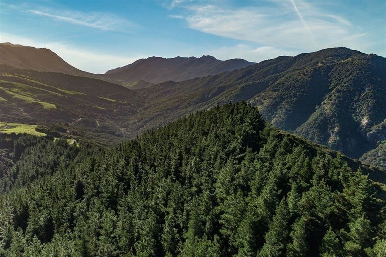 Photo of property in 184 Blue Duck Valley Road, Seaward Valley, Kaikoura, 7371