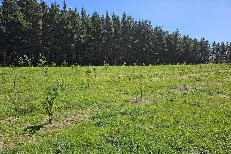 Photo of property in 577 Pesters Road, West Eyreton, Rangiora, 7475