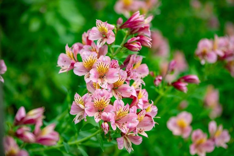 Photo of property in 2 Heron Court, Te Kowhai, Hamilton, 3288