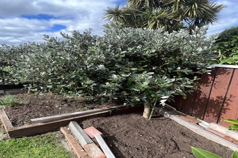 Photo of property in 7 Naughton Terrace, Kilbirnie, Wellington, 6022