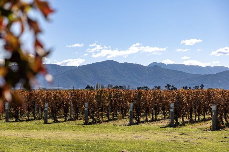 Photo of property in 376 New Renwick Road, Fairhall, Blenheim, 7272