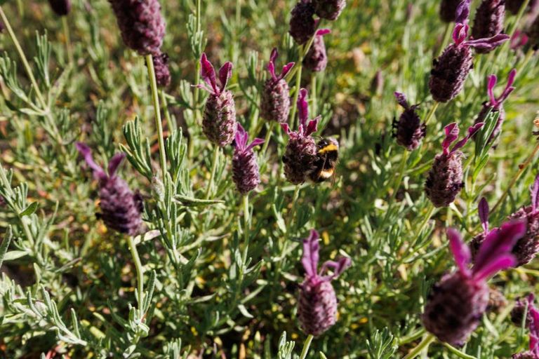 Photo of property in 71 Fairview Avenue, Feilding, 4702