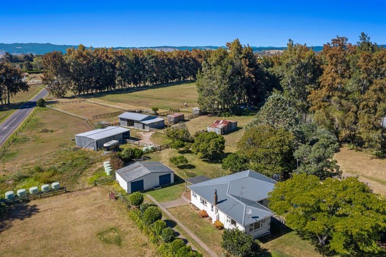 Photo of property in 305 Hallett Road, Otakiri, Whakatane, 3192