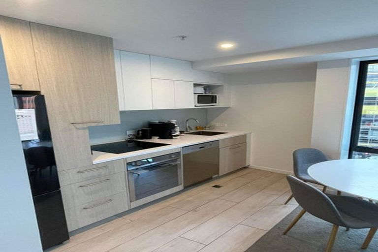 Photo of property in Vsp South, 301/166 Victoria Street, Te Aro, Wellington, 6011