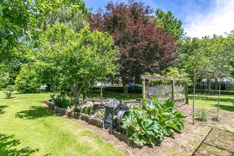 Photo of property in 314 Campbell Road, Richmond Downs, Walton, 3475