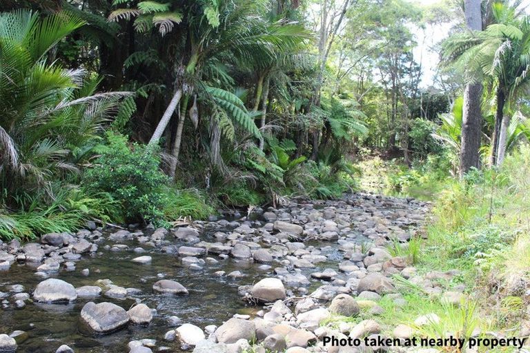 Photo of property in 411a Henderson Valley Road, Henderson Valley, Auckland, 0612