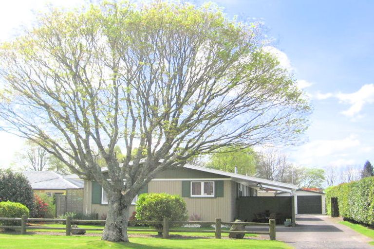 Photo of property in 59a Elizabeth Street, Victoria, Rotorua, 3010