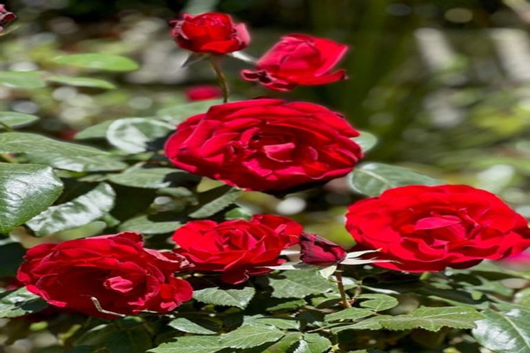 Photo of property in 487 Kanohi Road, Kaukapakapa, 0873