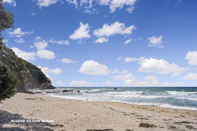 Photo of property in 339 Onemana Drive, Onemana, Whangamata, 3691