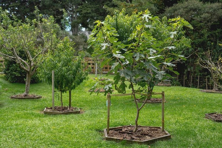 Photo of property in 309 Monowai Road, Wainui, Silverdale, 0994