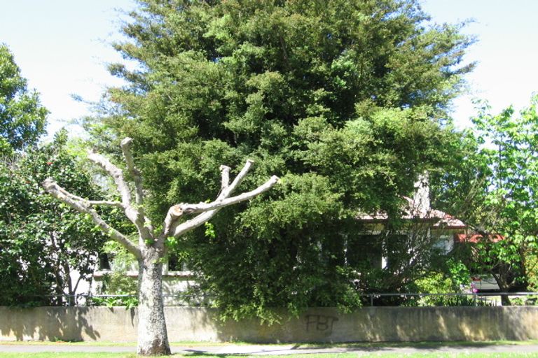 Photo of property in 3 Mary Street, Mangapapa, Gisborne, 4010