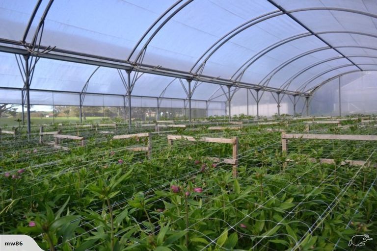 Photo of property in 1066 Egmont Road, Egmont Village, New Plymouth, 4372