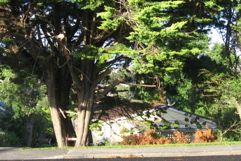 Photo of property in 31 Monarch Avenue, Hillcrest, Auckland, 0627