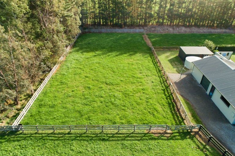 Photo of property in 408 Aranui Road, Kairanga, Palmerston North, 4475