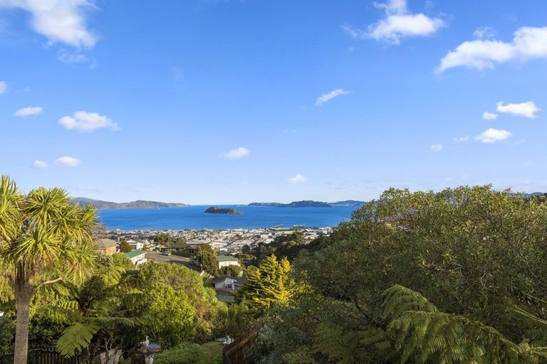 Photo of property in 117 Dowse Drive, Maungaraki, Lower Hutt, 5010