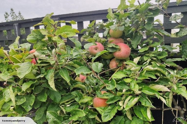 Photo of property in 1/193 Blighs Road, Strowan, Christchurch, 8052