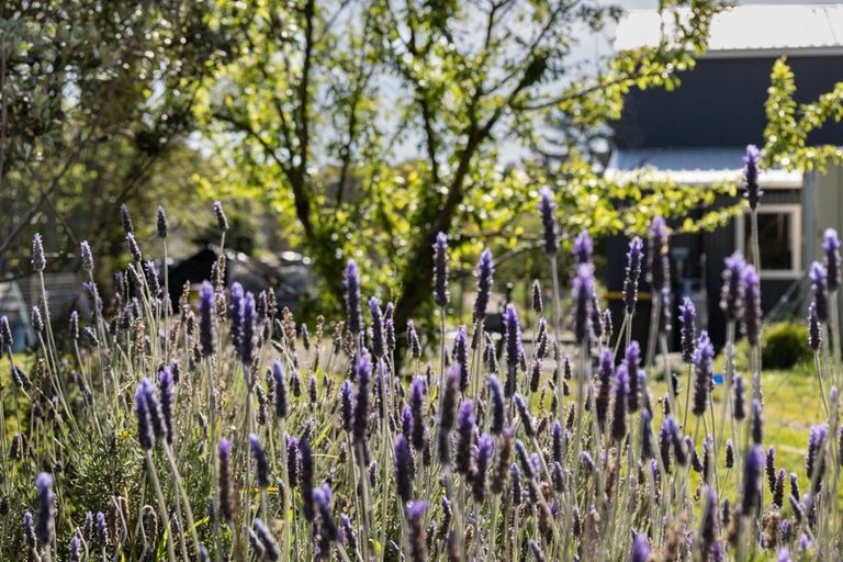 Photo of property in 899 State Highway 1, Te Horo, Otaki, 5581