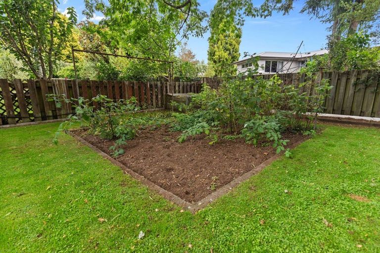 Photo of property in 14 Kauri Street, Hillcrest, Rotorua, 3015