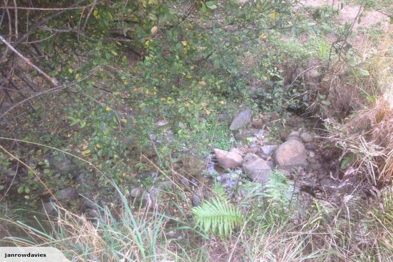 Photo of property in 257 Maungakawa Road, Cambridge, 3496