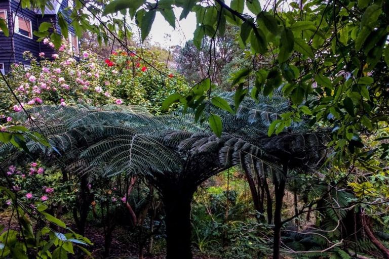 Photo of property in 15 Hatfield Street, Opoho, Dunedin, 9010