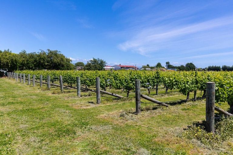 Photo of property in 5 Brook Street, Renwick, 7204