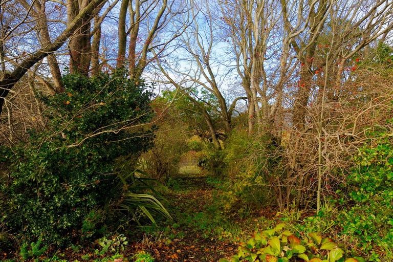 Photo of property in 44 Ronaldsay Street, Palmerston, 9430